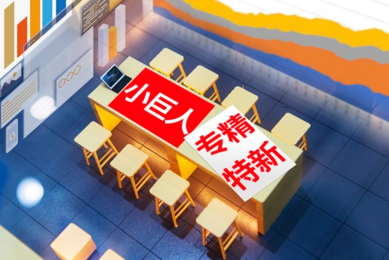 专精特新诊断评估服务网络示意图