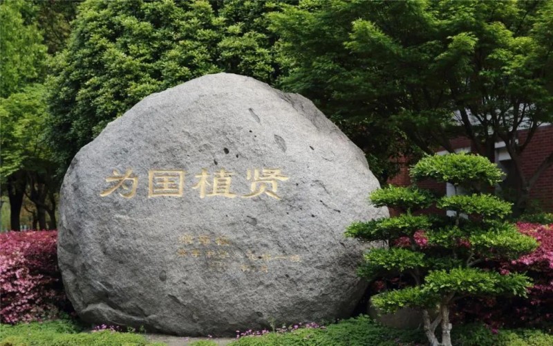环境7.jpg