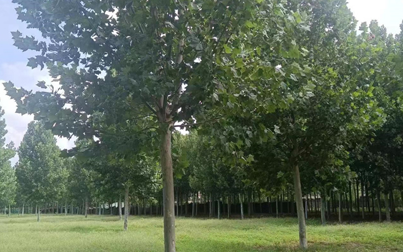 微信图片_2023072813471313.jpg