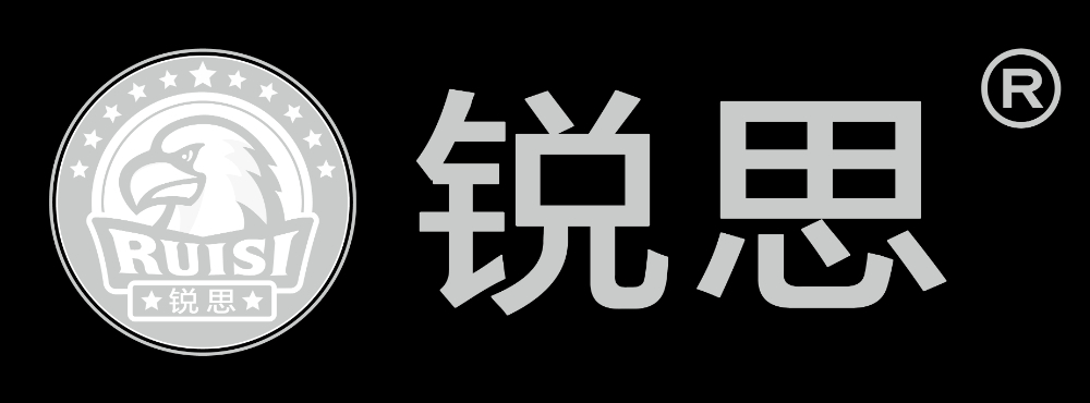 锐思logo专银透明版-03.png