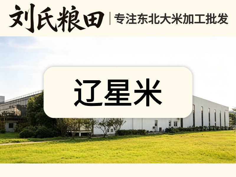 辽星米