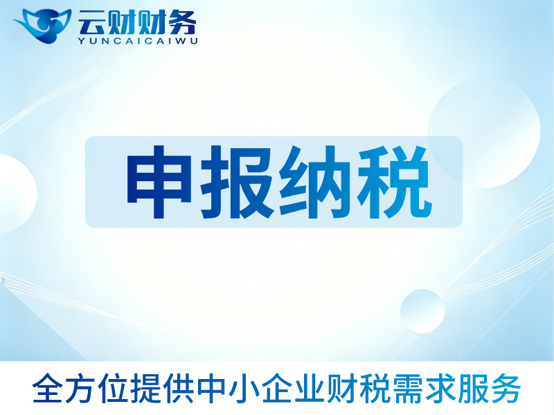 申报纳税