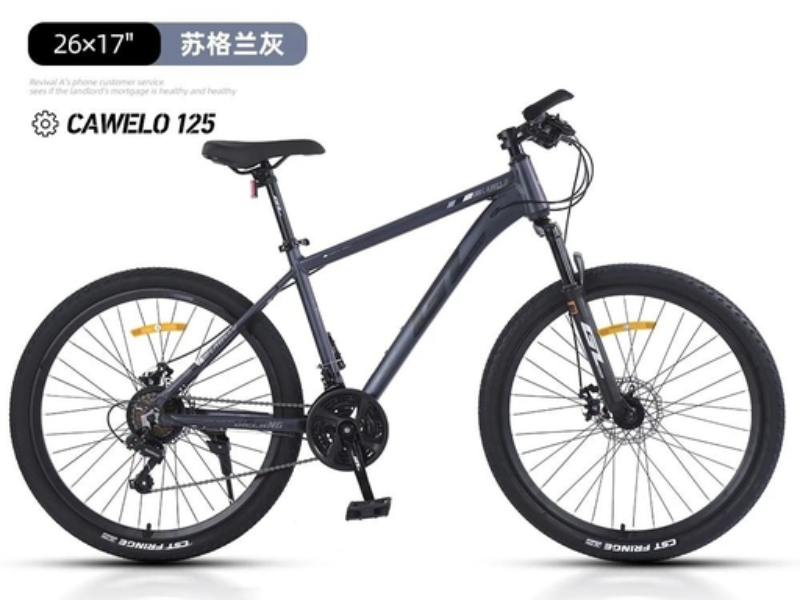 2026年广西捷狼品牌选购指南：口碑推荐与靠谱服务商解析