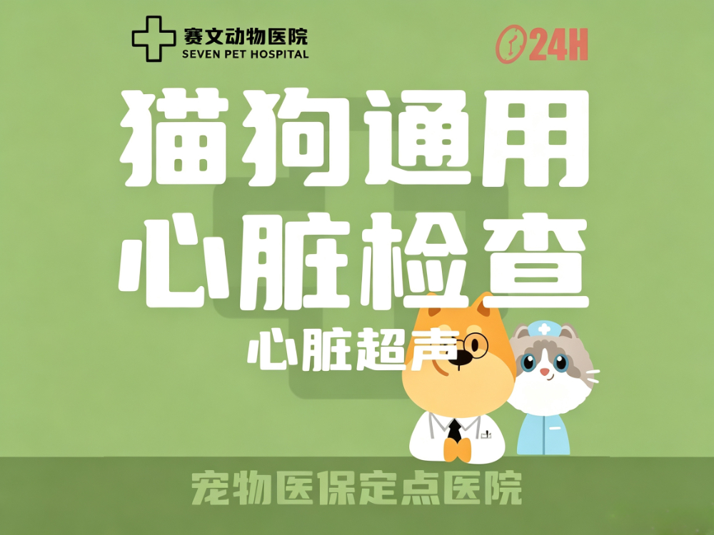 猫狗通用心脏检查