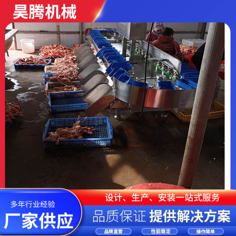 2026年贵州地区诚信鸡鸭鹅重量分拣机订购厂家综合分析与推荐