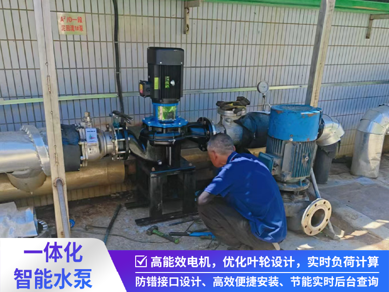 一体化智能提升水泵