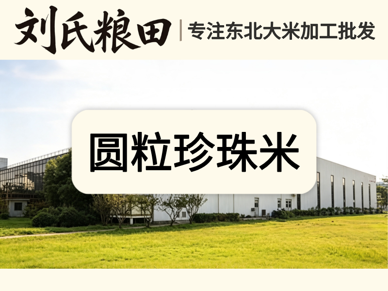 圆粒珍珠米