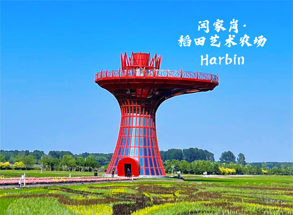 闫家岗稻田艺术农场