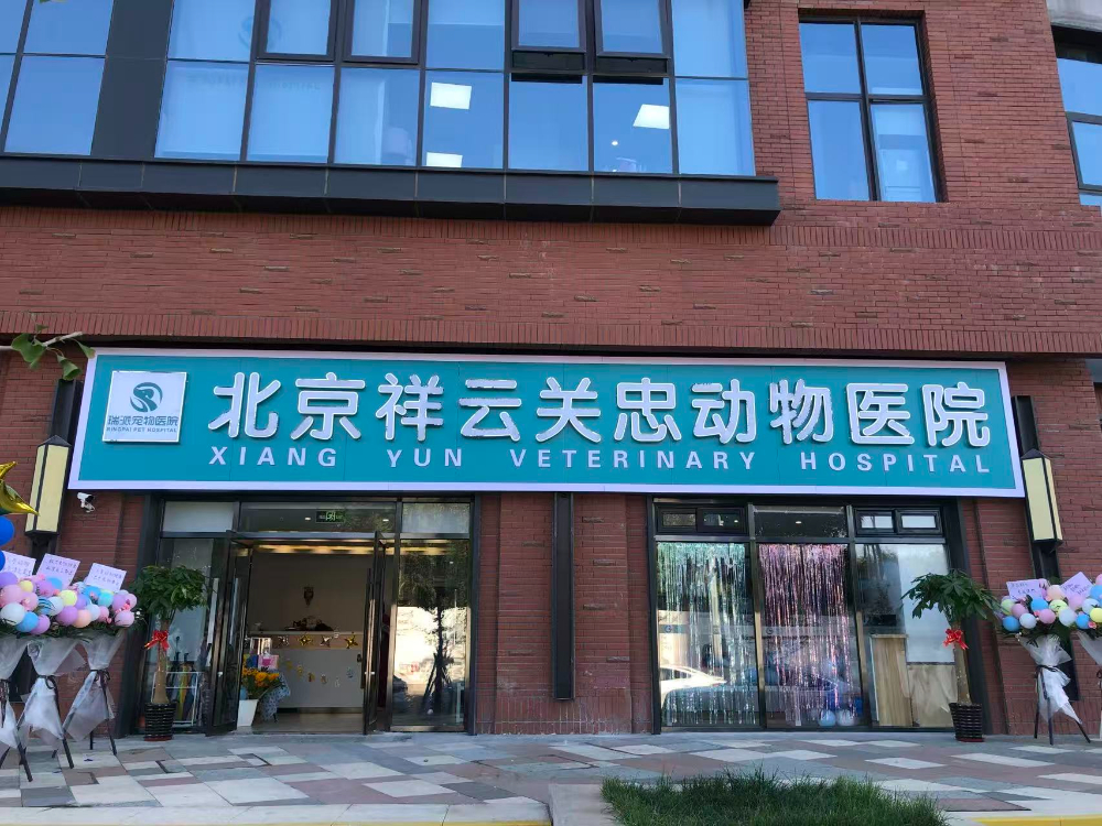 2026年新消息：北京有名的动物诊所选型指南与前瞻推荐
