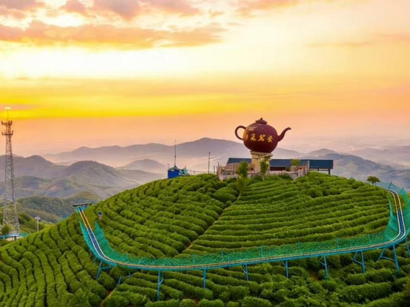 茶山滑道