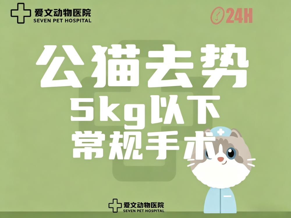 公猫绝育套餐