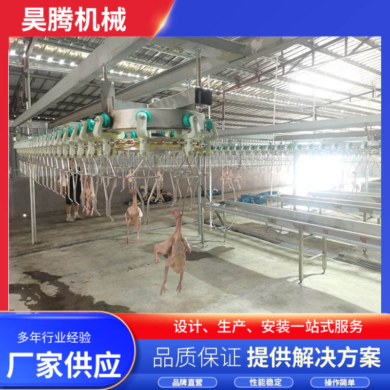 2026年当下，内蒙古肉鸽屠宰线定制为何优选诸城昊腾？