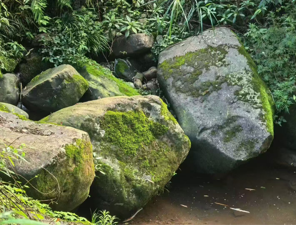 巴中站野山石 - 工厂