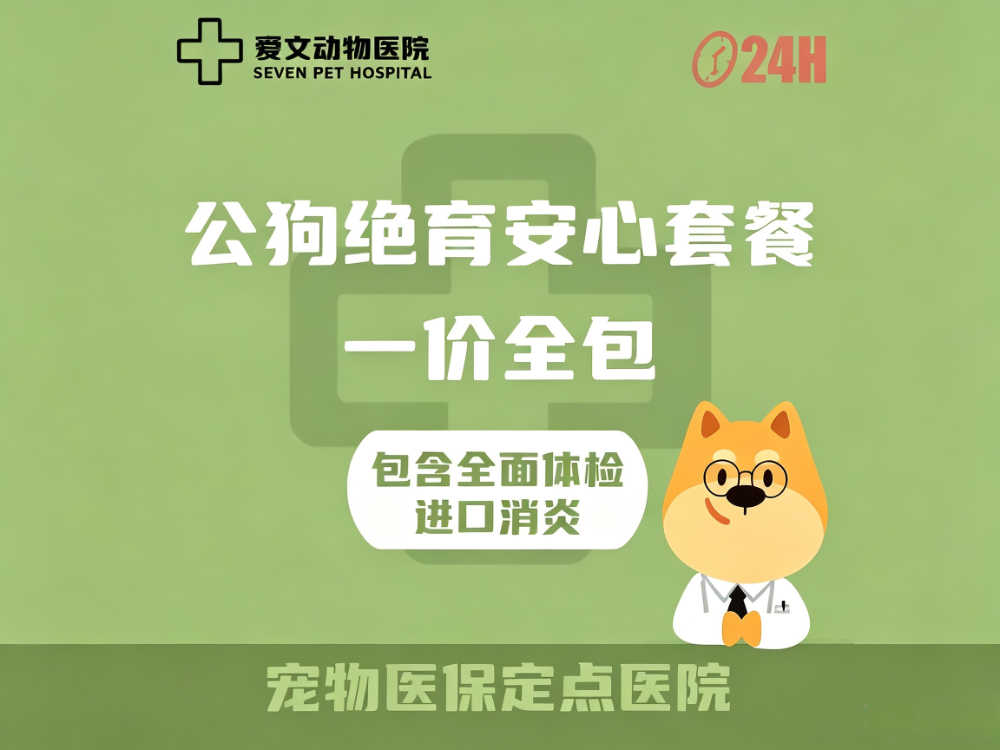 大连站公狗绝育套餐 - 一站式服务