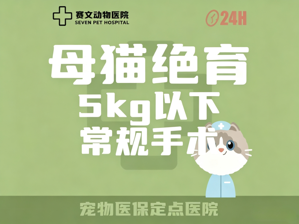 母猫绝育套餐