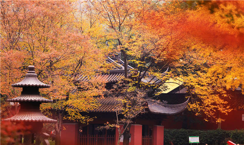 南京—栖霞山.jpg