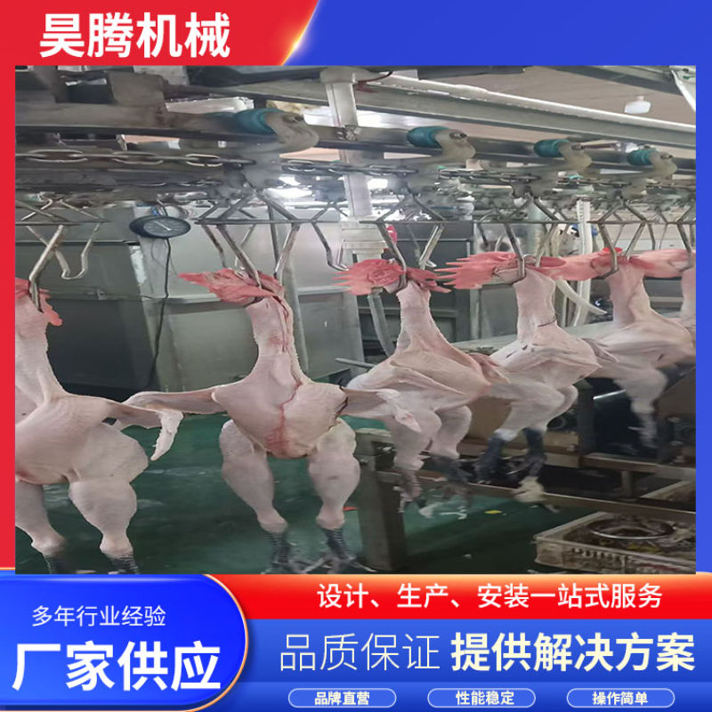 2026年山东肉鸭宰杀设备品牌选择：四大核心标准与深度解析