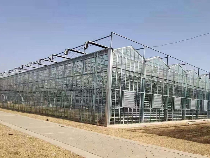 玻璃温室大棚