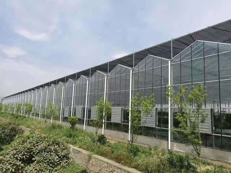 玻璃温室大棚