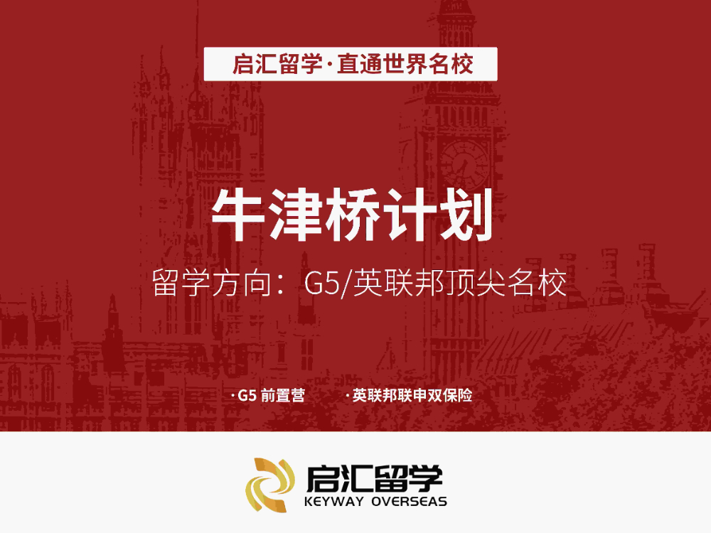 牛津桥计划