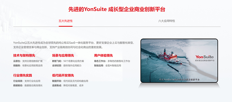 YonSuite-2(1).jpg
