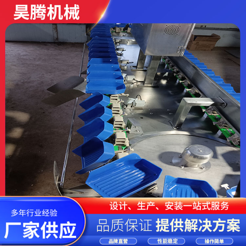 2026精选：河南专业全自动家禽分选机实力厂商深度解析