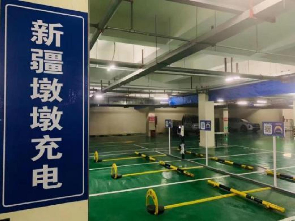 成果展示
