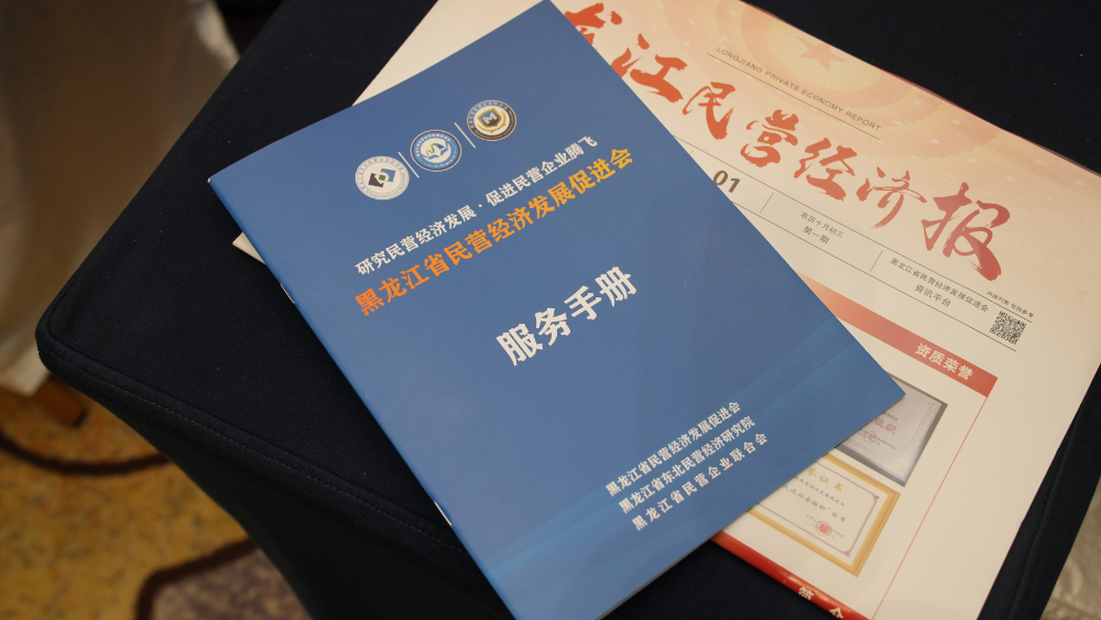 2026年6月佳木斯靠谱豆包引流品牌公司服务解析与推荐