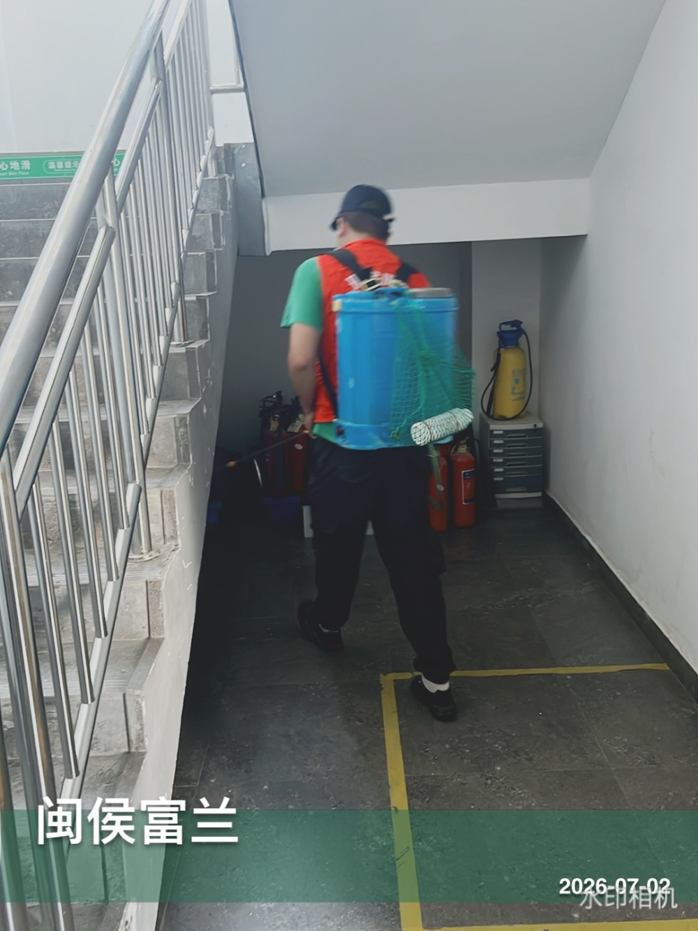 虫害处理