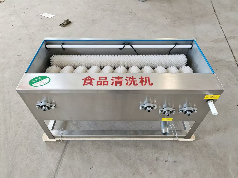 小型洗蛋机