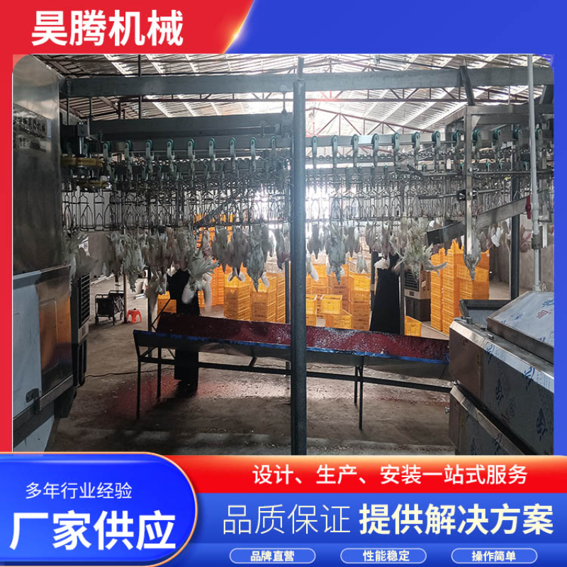 2026年湖北地区整套鸽子宰杀设备采购指南与实力厂家推荐