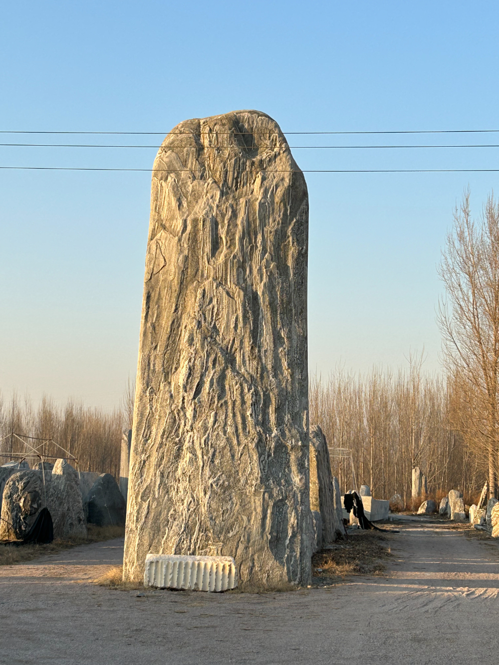 大型景观石.JPG