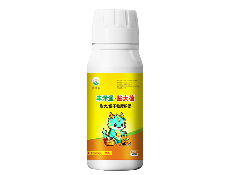 红原丰泽通膨大葆