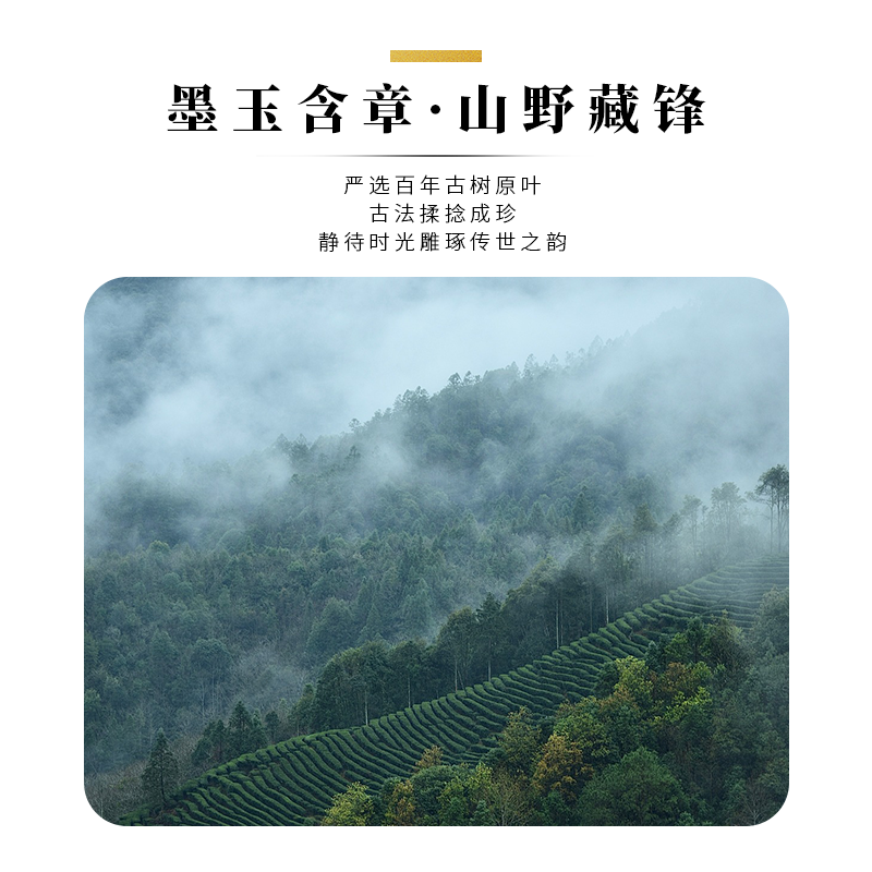 主图9.png