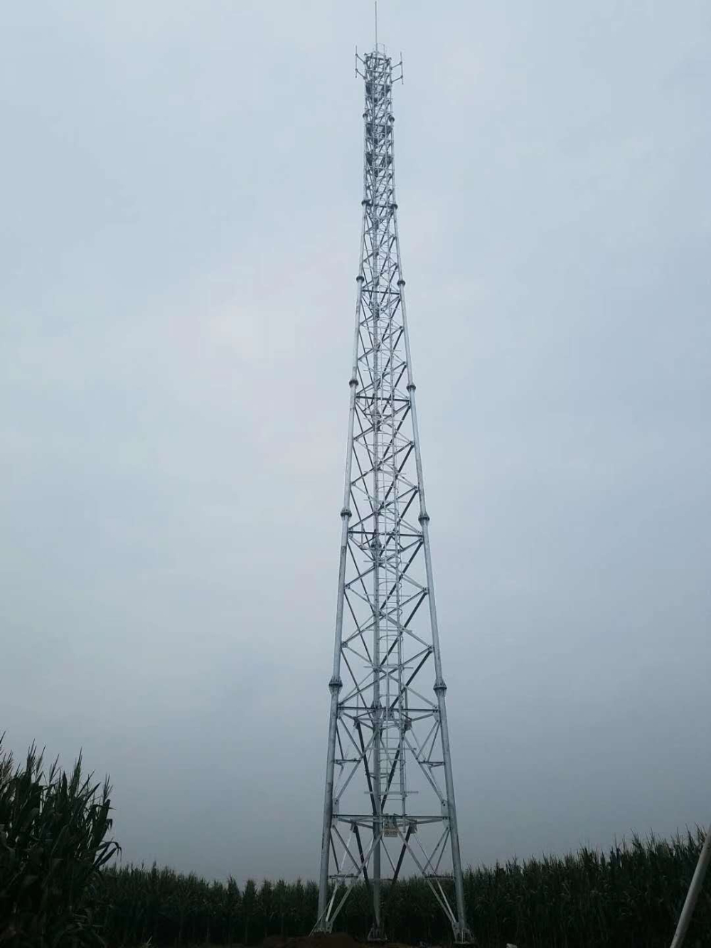 微信图片_20200504165939.jpg