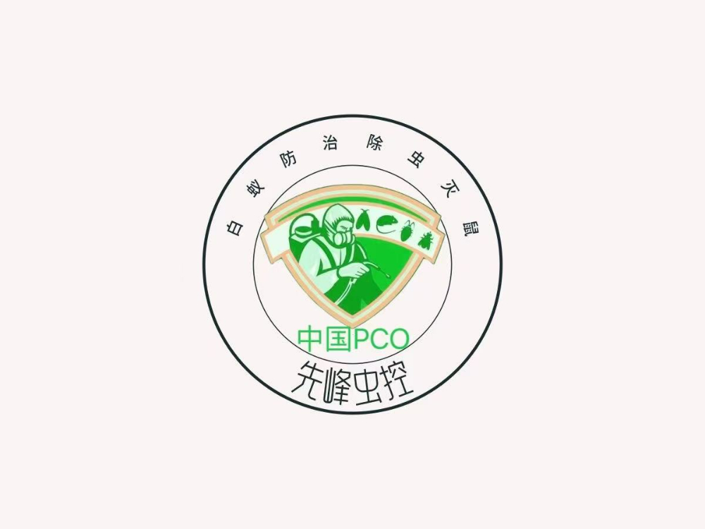 2026精选漳州行业知名的白蚁防治服务团队，谁是专业之选？