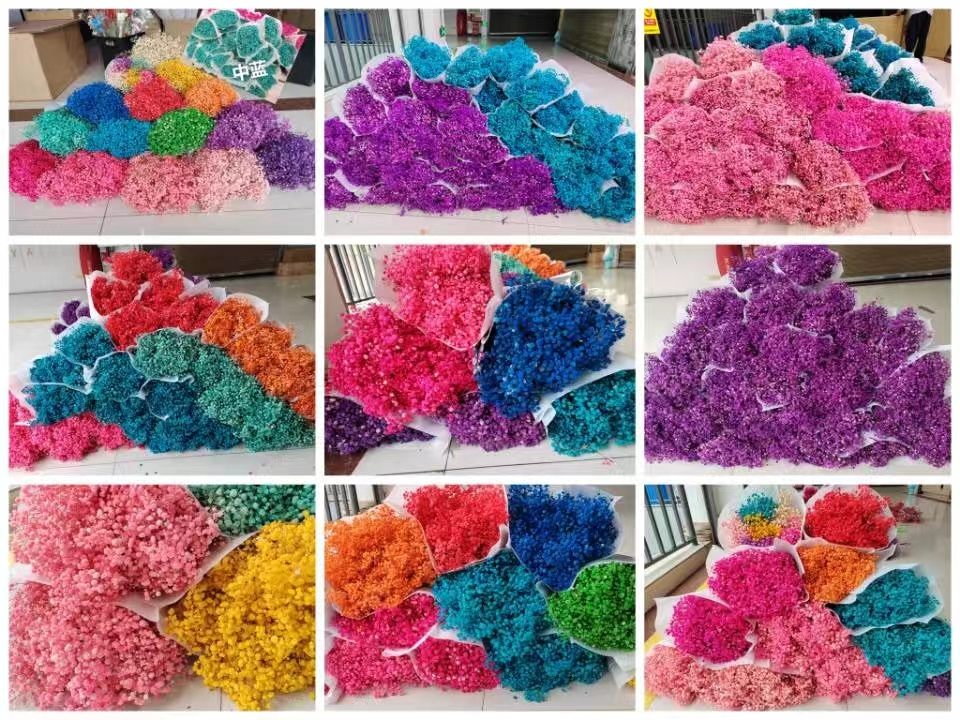 永生花干花