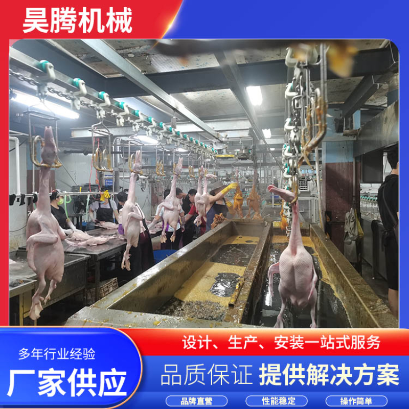 2026年辽宁肉鸡屠宰线实力厂商选择标准：如何找到靠谱伙伴？