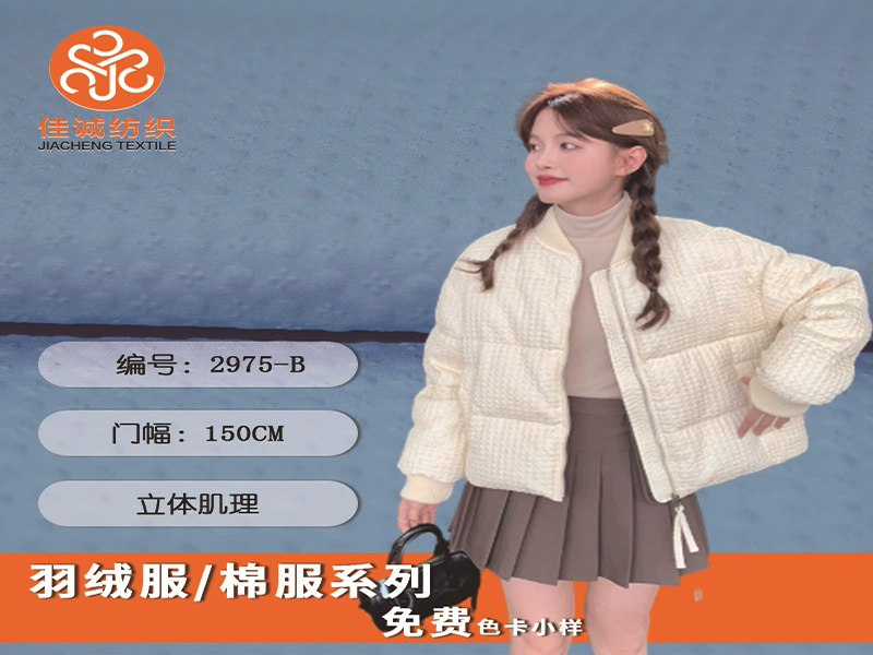 羽绒服棉服提花肌理面