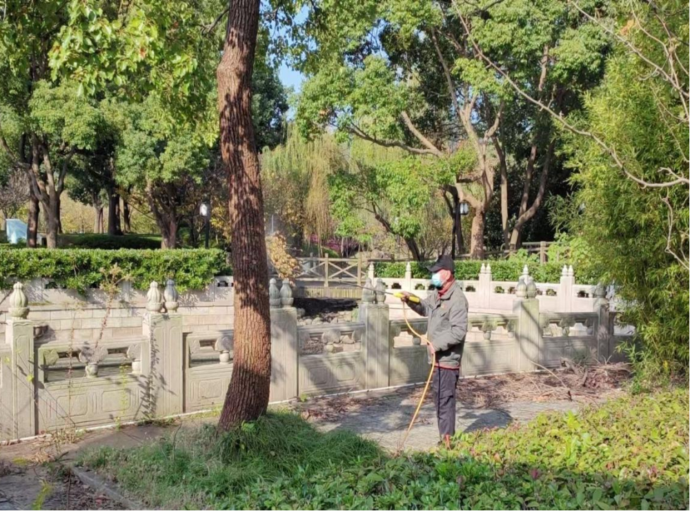 白蚁专项防治