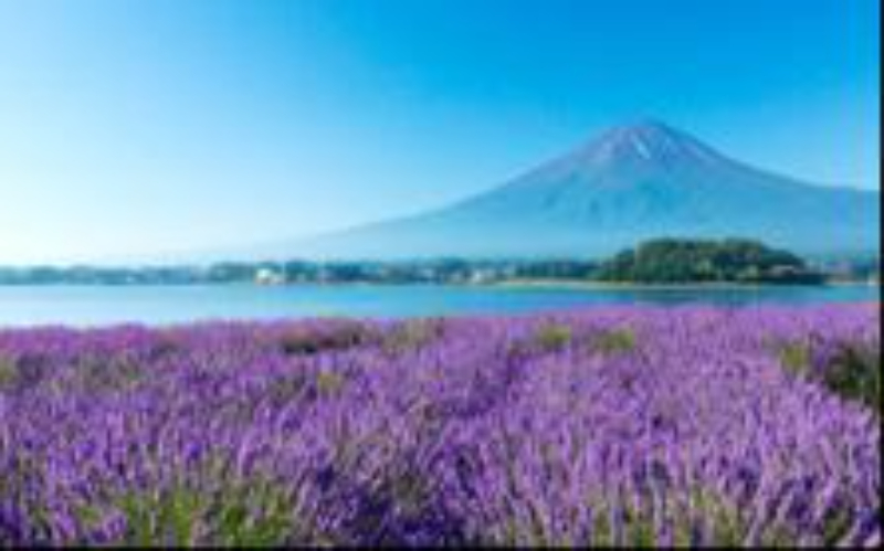 2026-4钻-繁花双乐园六天_p13_01.jpeg