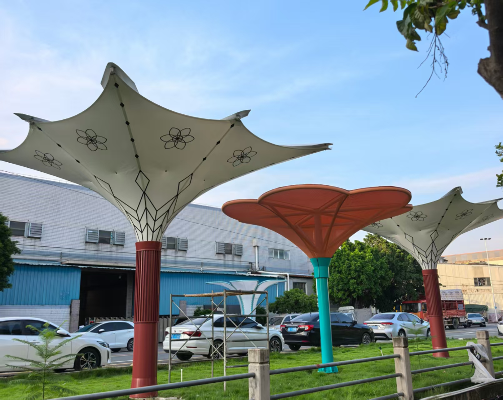 博远膜结构实景实拍图