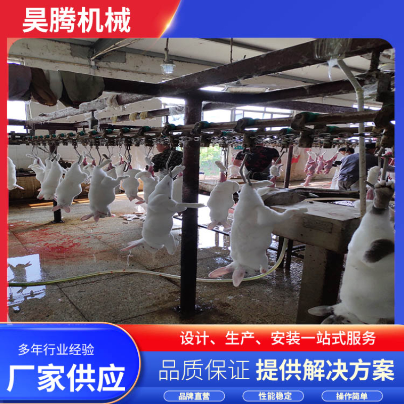 兔0.jpg