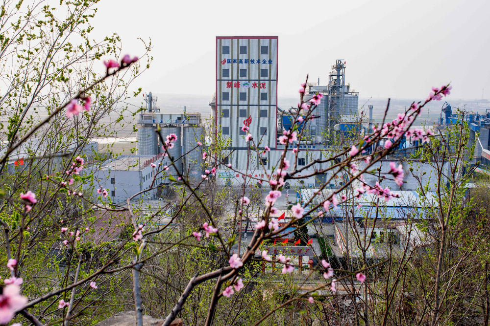 场地