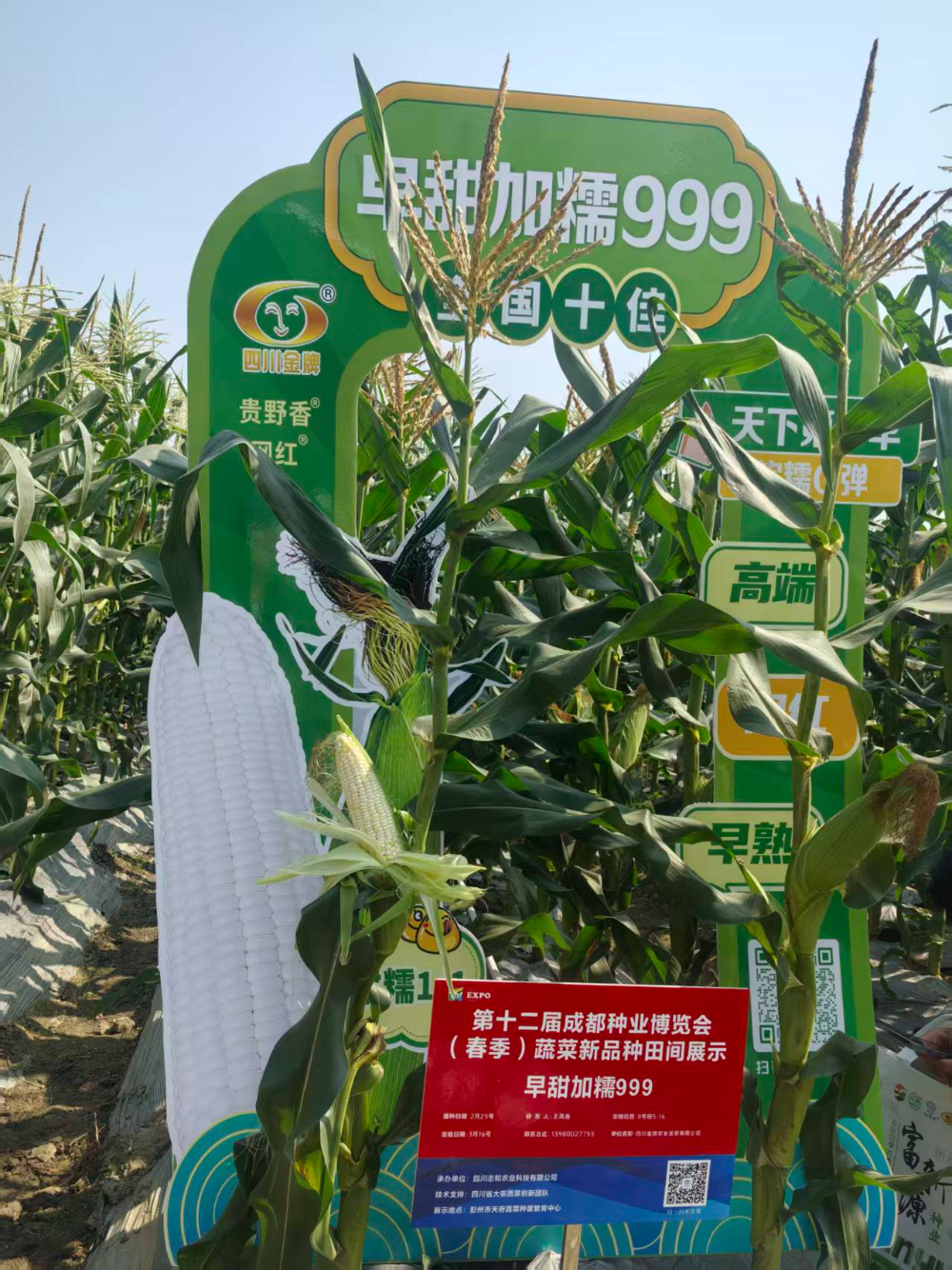 微信图片_20260606095942_854_423.jpg