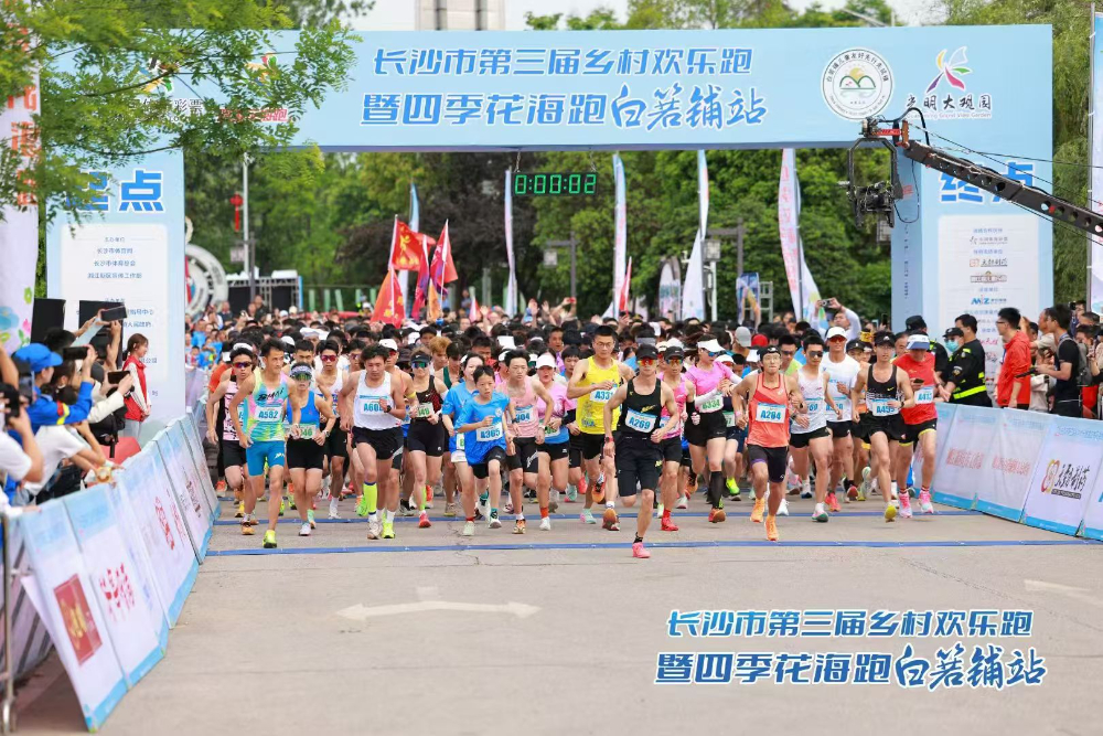 2026浏阳市靠谱策划师品牌公司精选：专业视角下的决策指南