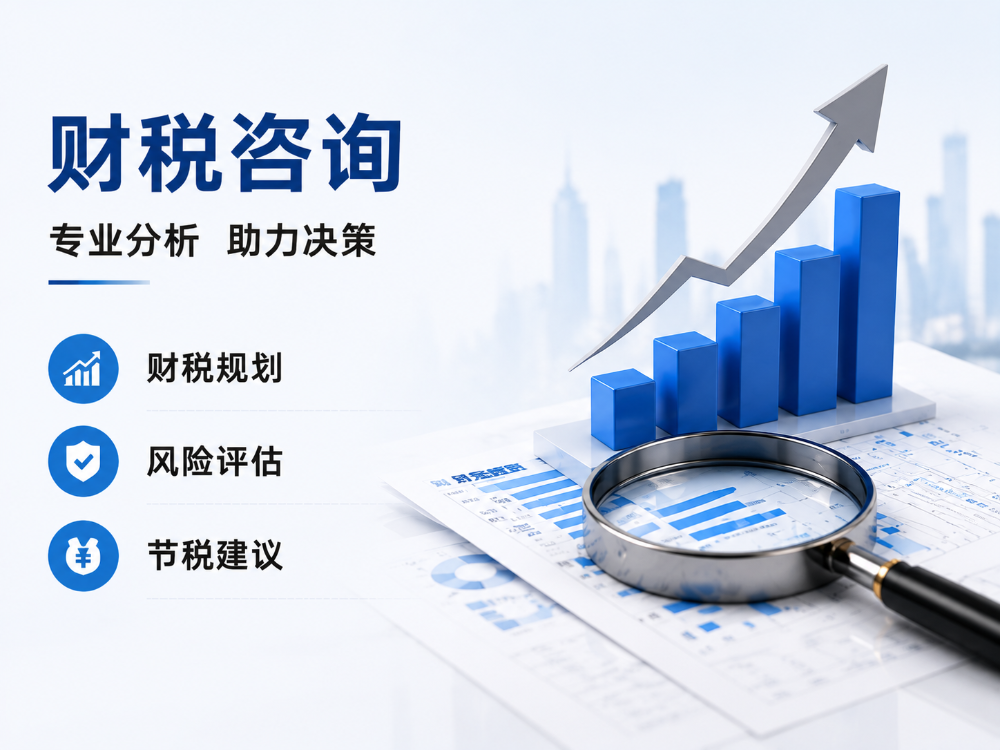 财税咨询