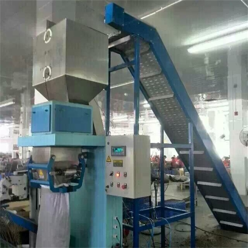 爬坡链板提升机