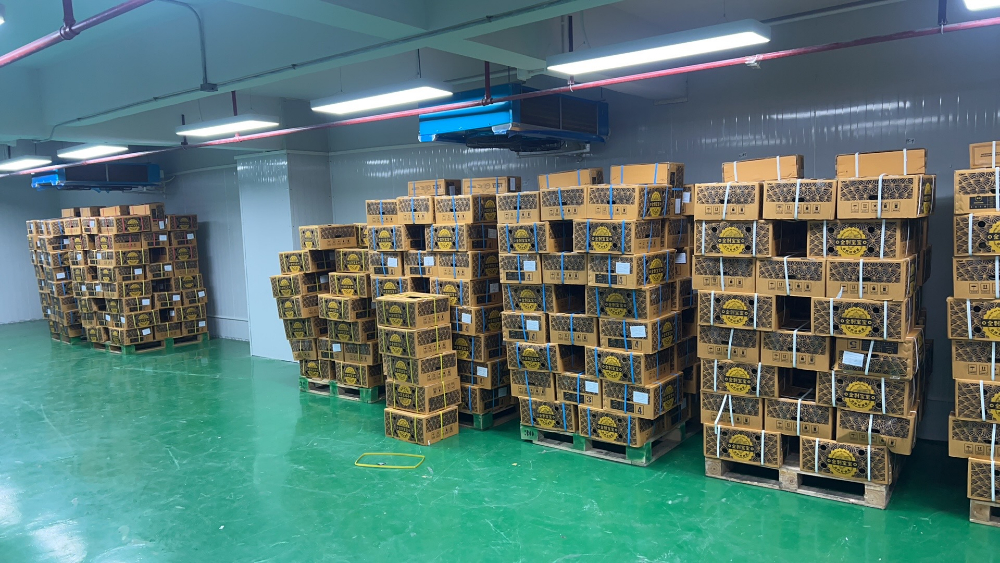 广东进口水果抖音店铺怎么选？泰国树熟榴莲源头直供的真相