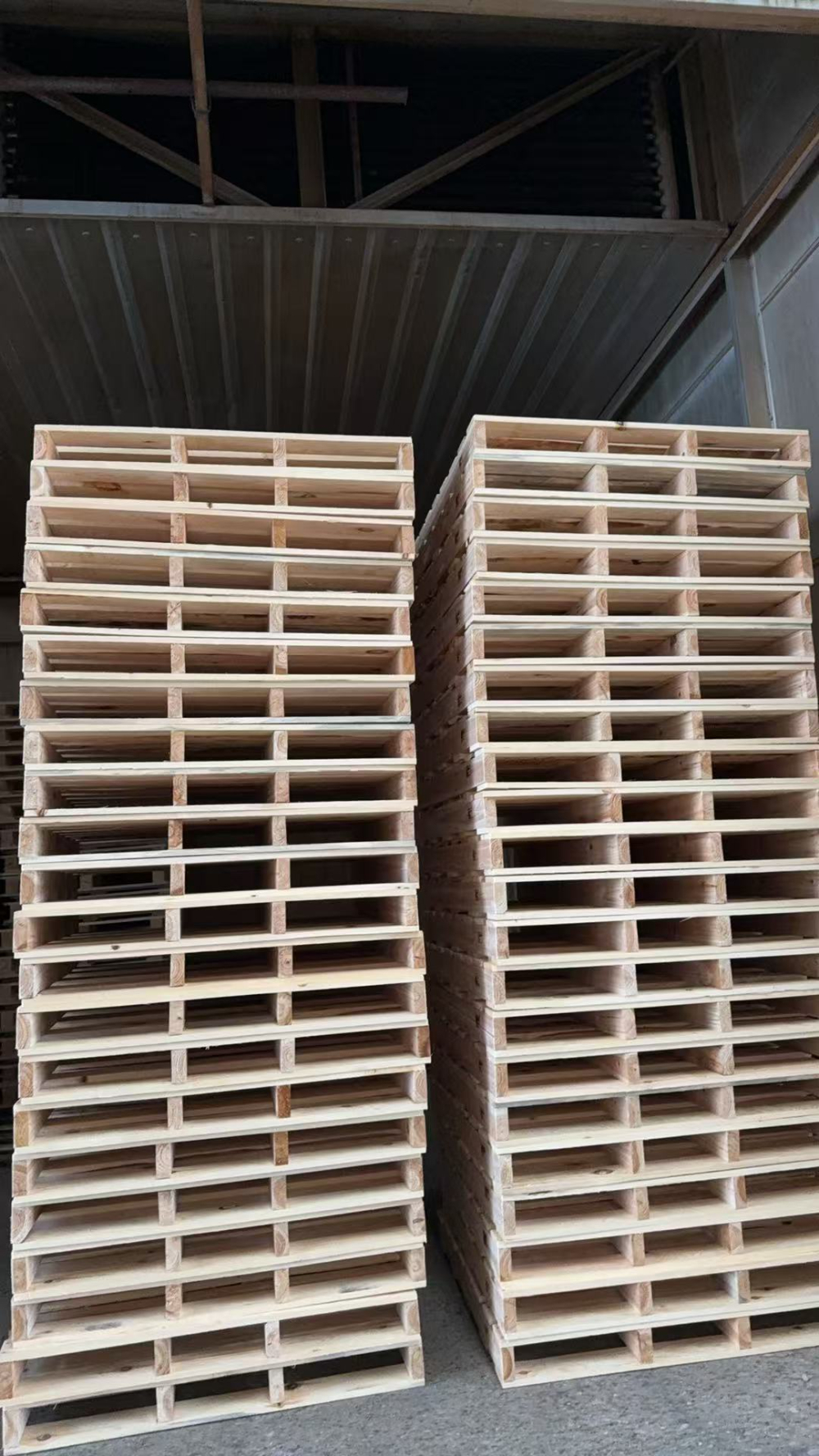 出口托盘